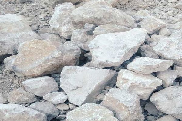 whatsapp görsel 2025 08 02 saat 15.11.49 1eddf3e7 600x400